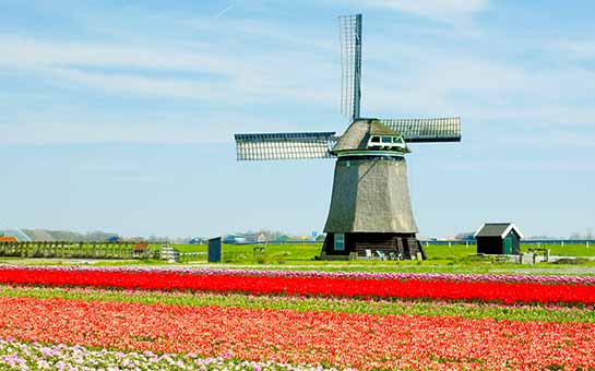 Netherlands Visa Travel Insurance